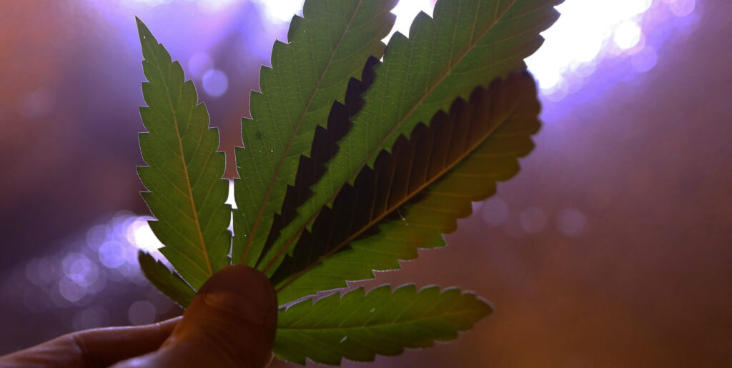 This week’s most important N.J. cannabis stories: Industry event featuring Booker, hemp goes to backburner, what employers should know