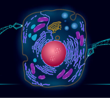 Biomedican - biosynthetic platform